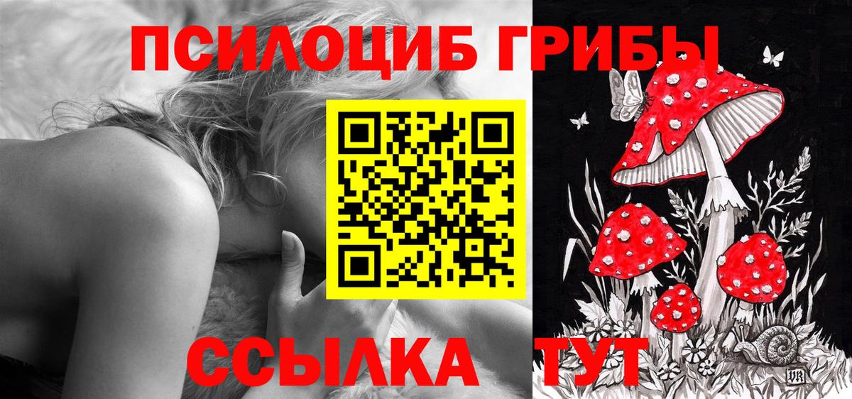 Псилоцибиновые грибы Psilocybe  Вход с VPN  Волхов  Псилоцибиновые грибы GOLDEN TEACHER 